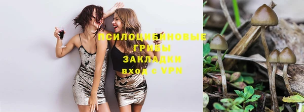 МДПВ Белокуриха