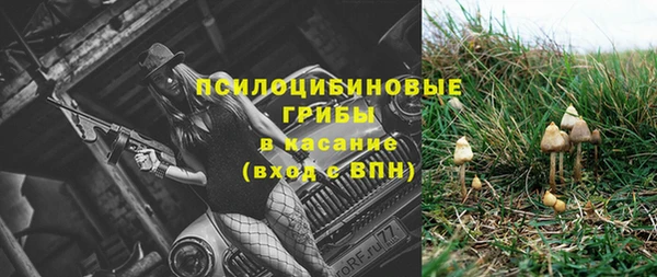 МДПВ Белокуриха