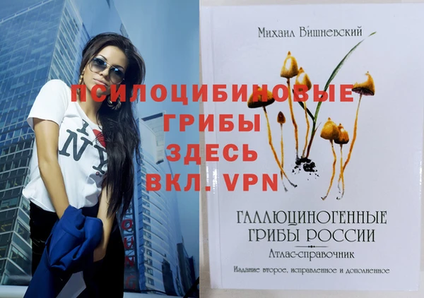 меф Балахна